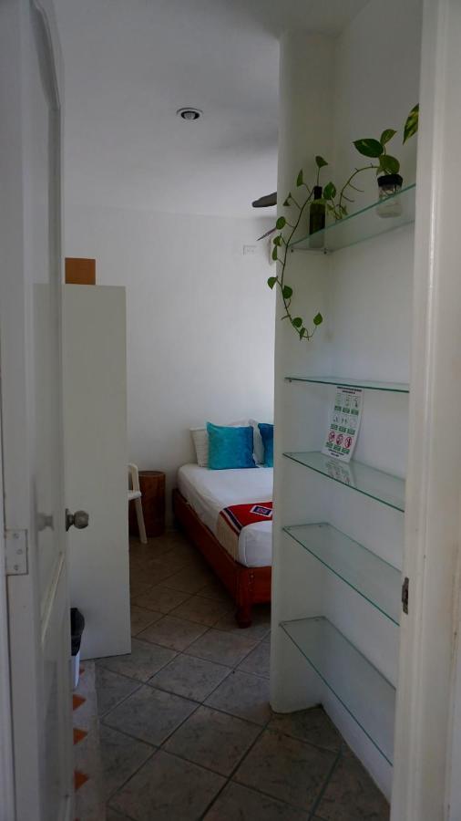 Selva Y Mar Apart Hotel Πλάγια Ντελ Κάρμεν Εξωτερικό φωτογραφία