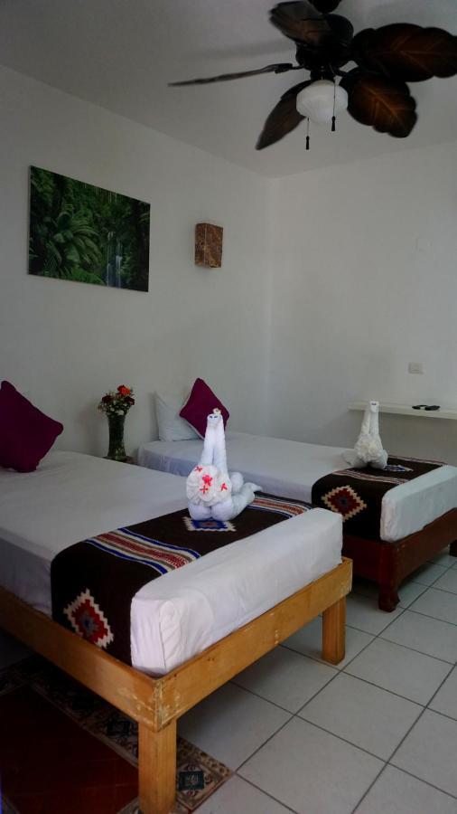 Selva Y Mar Apart Hotel Πλάγια Ντελ Κάρμεν Εξωτερικό φωτογραφία